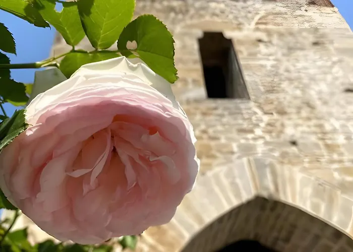 Casa Loretta شقة *